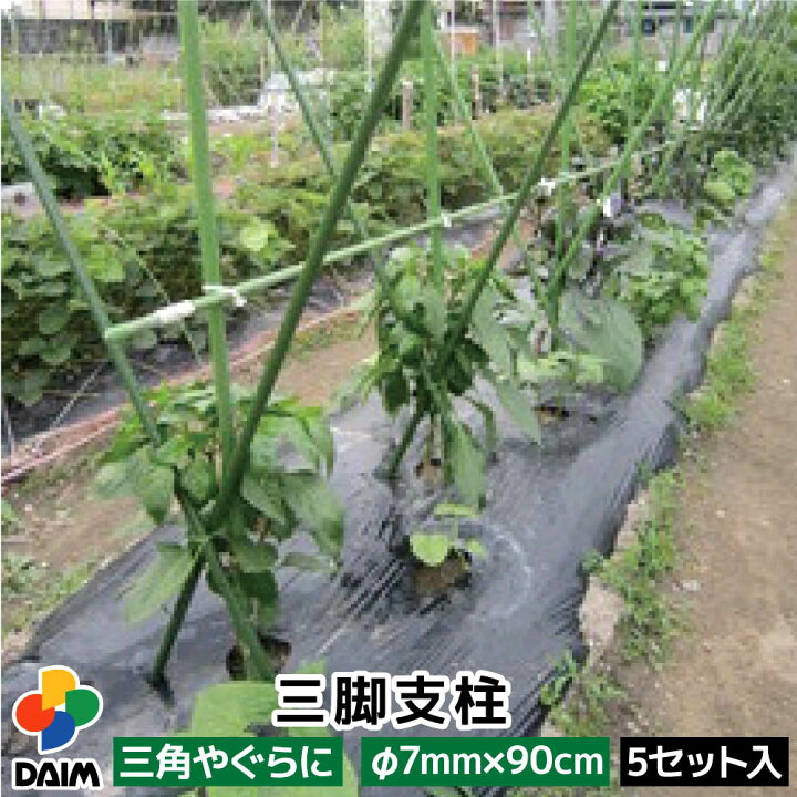 楽天市場 Daim 三脚支柱 F7mm 90cm 5セット 菜園 園芸 支柱 7mm 90cm ガーデニング ガーデニング用品 家庭菜園 メーカー直販 第一ビニール 株