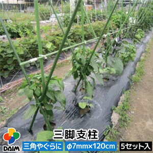 【10月 P2倍】daim 三脚支柱 直径7mm×120cm 5セット 菜園 園芸 支柱 7mm 120cm ガーデニング ガーデニング用品 家庭菜園