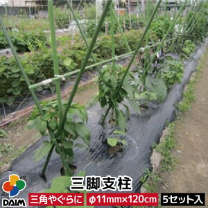 daim 三脚支柱 直径11mm×120cm 5セット 菜園 園芸 支柱 11mm 120cm ガーデニング ガーデニング用品 家庭菜園