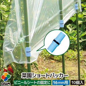 y10 P2{zdaim ؉V[gpbJ[ 16mmp 10 ؉ | x K[fjO pi ƒ؉