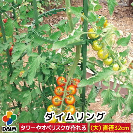 daim ダイムリング 大サイズ 直径32cm リング 朝顔 つる性植物 アサガオ 菜園 園芸 支柱 ガーデニング 家庭菜園 オベリスク タワー