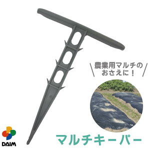 daim }`L[p[ }` }` _Ɨp _Ǝ K[fjOpi vX`bN Y s |pi vY