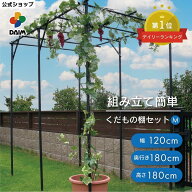daim くだもの棚セット KT-M 120 パーゴラ ガーデンアーチ ガーデンファニチャー 藤棚 果樹棚 セット diy…