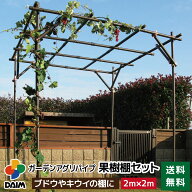 daim ガーデンアグリパイプ果樹棚セット 2m×2m 藤棚 パーゴラ ガーデンアーチ ふじ棚 果樹棚 セット 果…