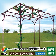 daim ガーデンアグリパイプ果樹棚セット 2m×3m 藤棚 パーゴラ ガーデンアーチ ふじ棚 果樹棚 セット 果…