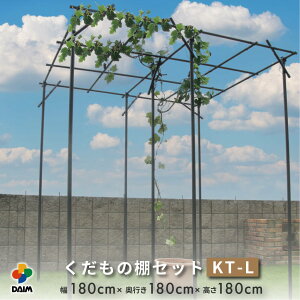 daim ̒I Zbg KT-L 180 p[S K[fA[` K[ft@j`[ I ʎI Zbg diy Lbg J J悯 ʕI LECI ԂǂI uhEI I rj[ Ԃǂ 