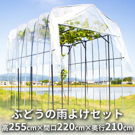 【エントリーでP5倍】【クーポンで最大3,000円OFF】daim ぶどうの雨よけセット 間口220cm×奥行210cm×高さ255cm くだもの棚 ぶどう 雨除け 葡萄 ブドウ バーゴラ ガーデンアーチ 果物棚 キウイ棚 ぶどう棚 ブドウ棚 葡萄棚 第一ビニール ぶどう キ