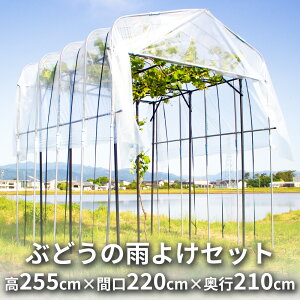 daim Ԃǂ̉J悯Zbg Ԍ220cm×s210cm×255cm ̒I Ԃǂ J  uhE o[S K[fA[` ʕI LECI ԂǂI uhEI I rj[ Ԃǂ LE