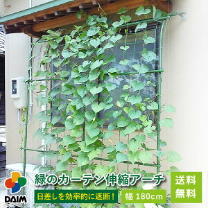 daim ΂̃J[e LkA[`^ 180cm 悯 V[g  O[J[e TVF[h ΂̃J[e O[ J[e Ċ| ^Cv EbhfbL eX oRj[ ATKI 