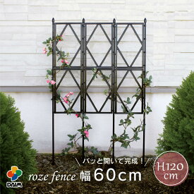 daim ローズトレリス 幅60cm×高さ120cm トレリス フェンス diy 薔薇 ガーデニング つるバラ 支柱 ガーデン つる バラ 壁面 誘引 資材 クレチマス つる性 植物 ばら プランター ベランダ ラウンドトレリス 園芸 組み立て不要