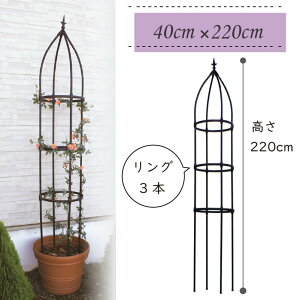 y펞|Cg5{Abvzdaim gݗĂ񂽂 [YIxXN Iׂ4TCY a25cm 40cm 170cm 180cm 210cm 220cm o N}`X 鐫A diy [YIxXN K[fIxXN 