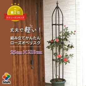 daim 組み立てかんたん ローズオベリスク 直径25cm 高さ210cm バラ クレマチス つる性植物 diy ローズオベリスク ガーデンオベリスク つるバラ つる 花 支え 支柱 薔薇 ばら ガーデニング トレリス 送料無料