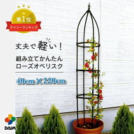 DAIM 組み立てかんたん ローズ オベリスク 直径40cm 高さ220cm バラ クレマチス つる性植物 diy ローズオ…