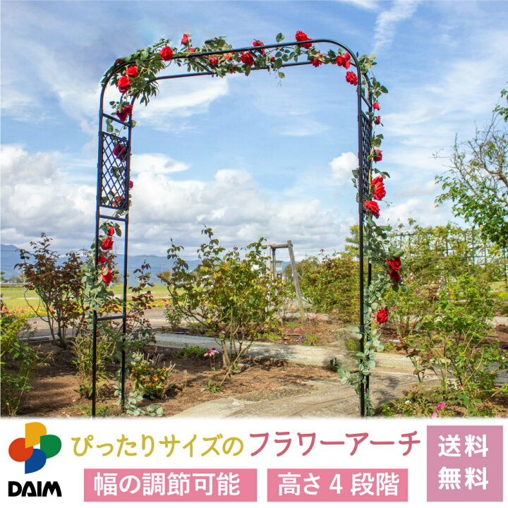 楽天市場 Daim ぴったり調節できるフラワーアーチ 幅 1cm 210cm 高さ 210cm 230cm 240cm 260cm 調節 可能 ローズアーチ ガーデンアーチ Diy 薔薇 アーチ バラ ばら 菜園 組み立て 簡単 かんたん 設置 庭 窓辺 窓枠 家庭菜園 エクステリア 送料無料 メーカー直販