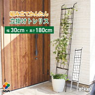 【お買い物マラソン限定！最大3,000円OFF】daim 組み立てかんたん立掛けトレリス 2セット入 幅30cm×高さ…