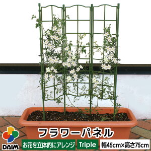 daim t[pl gv 45cm 75cm gX v^[ x_ EhgX tFX ~ o N}`X ^[  v^[  ǂ U x | 