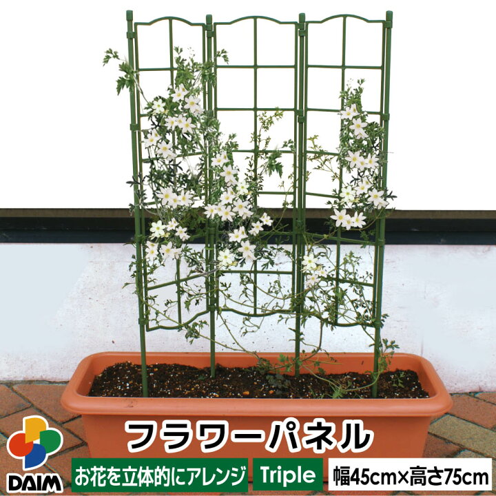 楽天市場 Daim フラワーパネル トリプル 幅45cm 高さ75cm トレリス プランター ベランダ ラウンドトレリス フェンス 円 バラ クレマチス タワー あんどん作り 誘引 支柱 園芸 つる性 竹 ガーデニング おしゃれ 家庭菜園 用品 メーカー直販 第一ビニール 株 楽天市場 Daim フラワーパネル トリプル 幅45cm 高さ75cm トレリス プランター ベランダ ラウンドトレリス フェンス 円 バラ クレマチス タワー あんどん作り 誘引 支柱 園芸 つる性 竹 ガーデニング おしゃれ 家庭菜園 用品 メーカー直販 第一ビニール 株