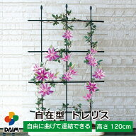 【お買い物マラソン限定！最大3,000円OFF】daim 自在型 トレリス 幅60cm×高さ120cm つる性植物 薔薇 ト…