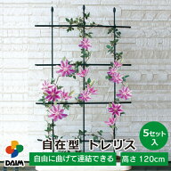 【エントリーでP5倍】【クーポンで最大3,000円OFF】daim 自在型 トレリス 幅60cm×高さ120cm 5セット入 …