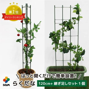 daim 炭 120cm+pZbg1 x g}g͔| I ؒI LE S[ 鐫A U イI |x |px ͔|I lbg |  Ԃ t[ T|[g