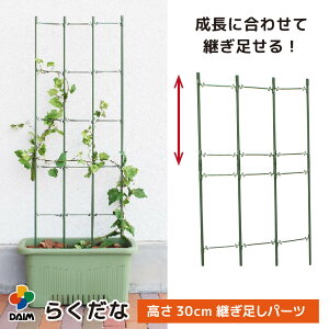 y24hIN[|ōő50%OFFzy9 P2{zdaim 炭ȗppZbg pF30cm x g}g͔| I ؒI LE S[ 鐫A U イI |x |px