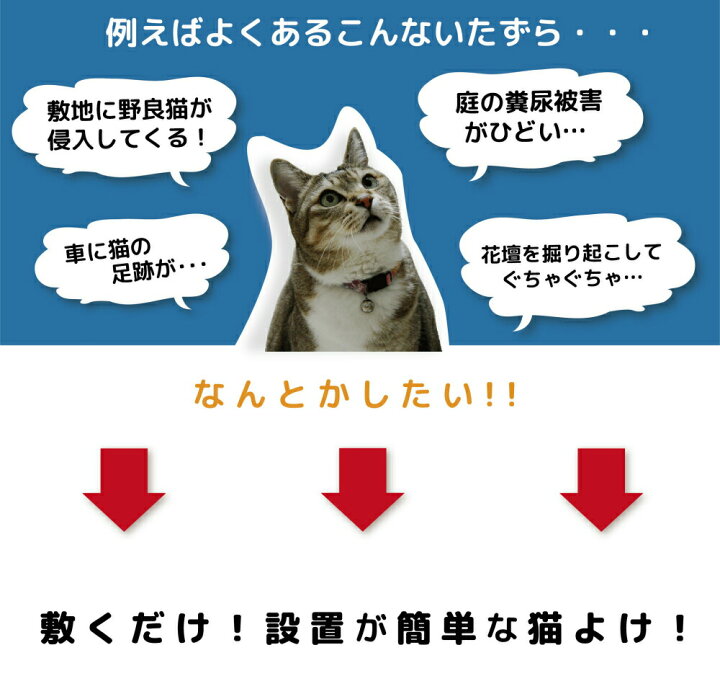 楽天市場 Daim 猫よけ ここダメシート 2m巻 ここだめシート 猫よけ対策 猫よけ グッズ シート マット セット イタズラ防止 野良猫対策 メーカー直販 第一ビニール 株