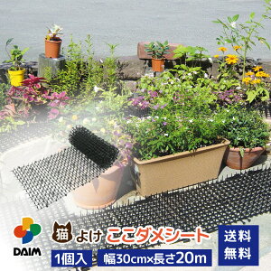 daim L悯 L _V[g 30cm 20m ߃V[g L悯ObY L悯΍ ˂悯 lR悯}bg ObY gQgQ ˂悯V[g ǔL΍ V[g }bg Zbg C^Y