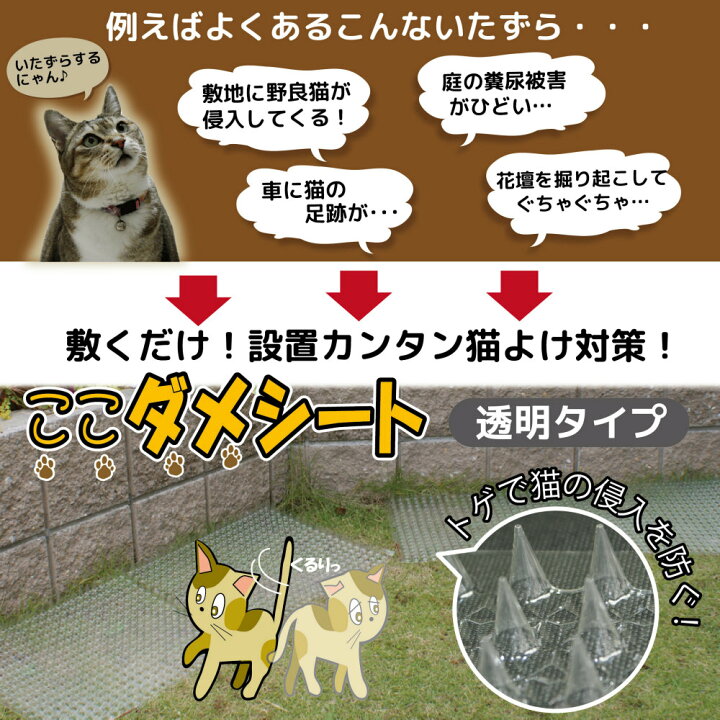 楽天市場 Daim 猫よけ ここダメシート 透明タイプ 4枚入 ここだめシート 猫よけ対策 ねこよけ グッズ シート マット セット イタズラ防止 とおせんぼ とげとげ 野良猫対策 害獣 侵入防止 侵入対策 立ち入り禁止 立ち入り防止 ネット 防獣ネット 害獣撃退 メーカー直販