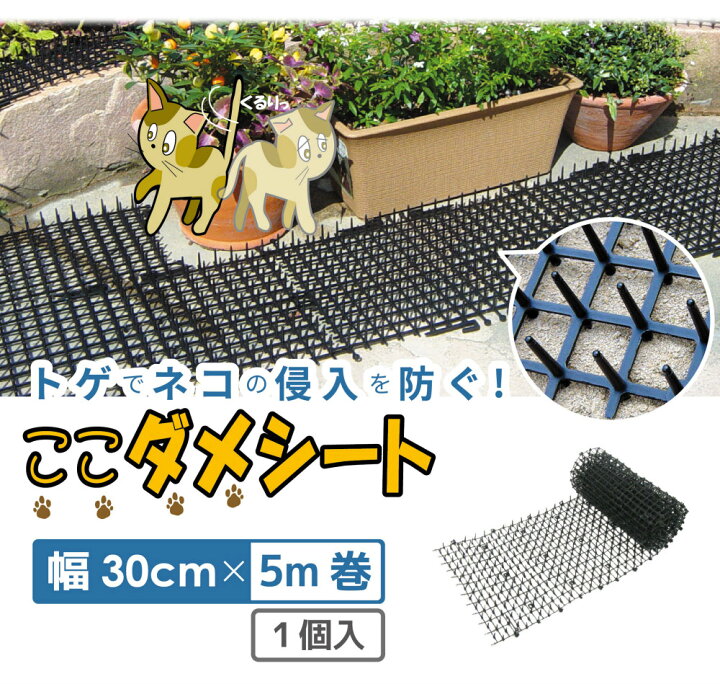 楽天市場 Daim 猫よけ ここダメシート 幅30cm 5m巻 ここだめシート 猫よけ対策 猫よけ 猫除け シート 庭 花壇 プランター 忌避 野外 屋外 野良猫 ノラ猫 対策 ブラック 黒 メーカー直販 第一ビニール 株 楽天市場 Daim 猫よけ ここダメシート 幅30cm 5m巻 ここだめシート 猫よけ対策 猫よけ 猫除け シート 庭 花壇 プランター 忌避 野外 屋外 野良猫 ノラ猫 対策 ブラック 黒 メーカー直販 第一ビニール 株