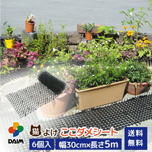 y9 P2{zdaim L悯 L _V[g 5m 6 ߃V[g L悯ObY L悯΍ ˂悯 lR悯}bg ObY gQgQ ˂悯V[g ǔL΍ V[g }bg Zb