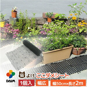 daim L悯 L _V[g 50cm L^Cv 2m ߃V[g L悯V[g lR悯}bg L悯ObY L悯΍ ˂悯 ObY gQgQ V[g }bg Zbg C^Yh