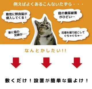 楽天市場 Daim 猫よけ ここダメシート 幅50cm 幅広タイプ 5m巻 ここだめシート 猫よけ対策 猫よけ グッズ シート マット セット イタズラ防止 花壇 ベランダ かんたん 設置 野良猫対策 メーカー直販 第一ビニール 株