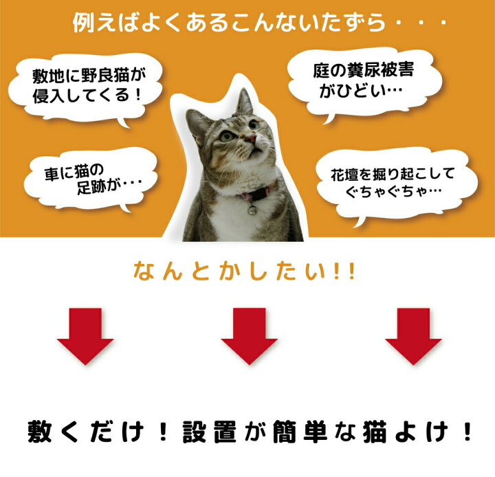 楽天市場 Daim 猫よけ ここダメシート 幅50cm 幅広タイプ 5m巻 ここだめシート 猫よけ対策 猫よけ グッズ シート マット セット イタズラ防止 花壇 ベランダ かんたん 設置 野良猫対策 メーカー直販 第一ビニール 株