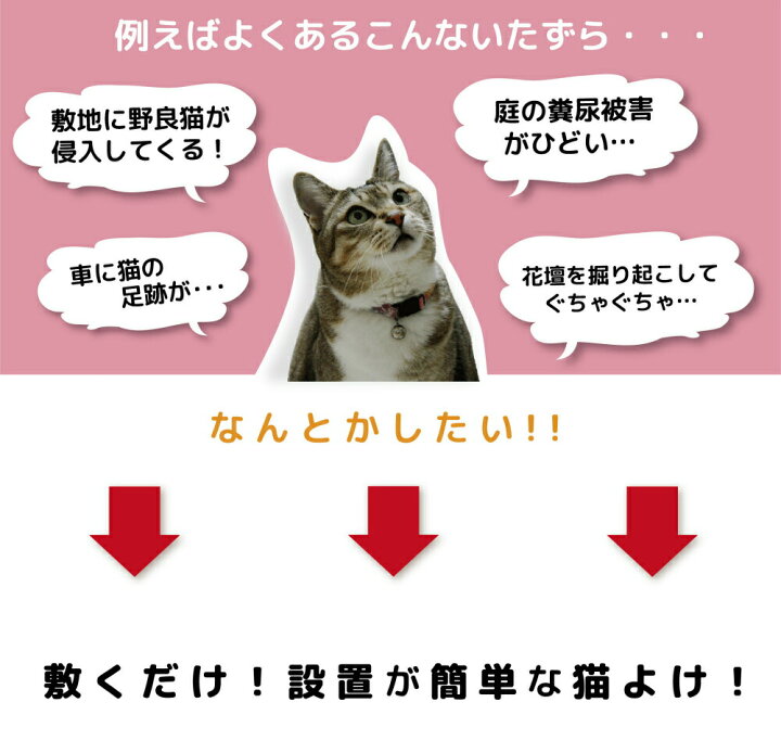 楽天市場 Daim 猫よけ ここダメシート 幅12cm スリムタイプ m巻 ここだめシート 猫 ねこ ネコ 対策 猫よけ グッズ シート マット スリム 細い イタズラ防止 野良猫対策 送料無料 メーカー直販 第一ビニール 株 楽天市場 Daim 猫よけ ここダメシート 幅12cm スリムタイプ m巻 ここだめシート 猫 ねこ ネコ 対策 猫よけ グッズ シート マット スリム 細い イタズラ防止 野良猫対策 送料無料 メーカー直販 第一ビニール 株