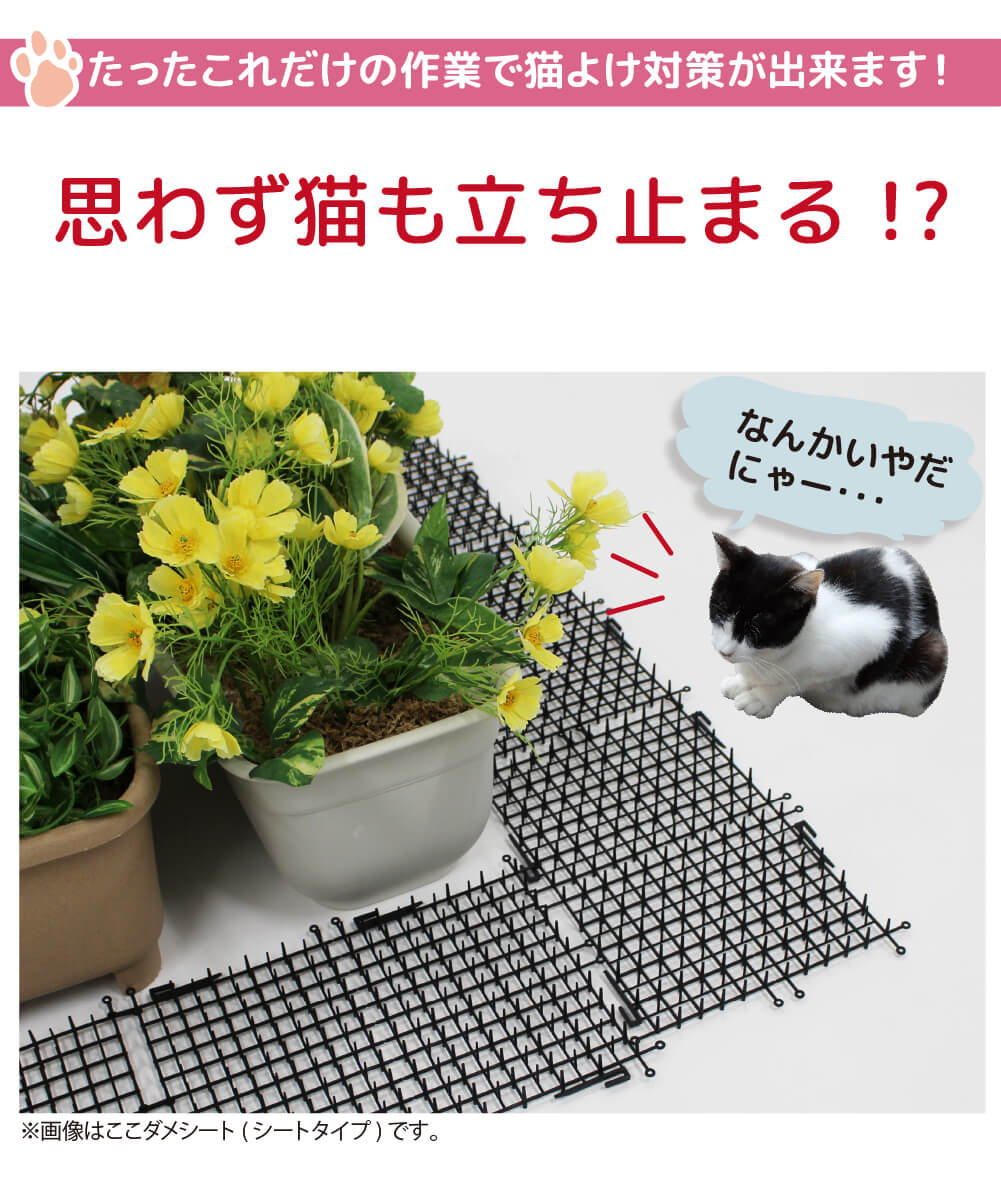 【楽天市場】daim 猫よけ 猫除け ここダメシート 幅12cm