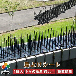 y10 P2{zdaim 悯V[g 1 悯 gQ  5cm 悯΍ x_  ObY JX悯 悯 ng悯 ͂Ƃ悯  JX h ΍ gQV[g gQgQ 悯ObY 