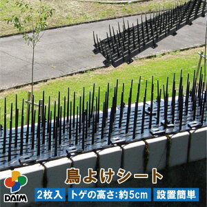 y9 P2{zdaim 悯V[g 2 悯 gQ  5cm 悯΍ x_  ObY JX悯 悯 ng悯 ͂Ƃ悯  JX h ΍ gQV[g gQgQ 悯ObY 