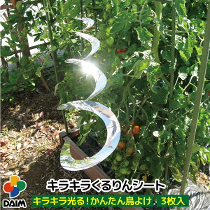 daim LLV[g 3 悯  JX 炷 ΍ JX悯 V[g    ؍ ƒ؉ | Lbg