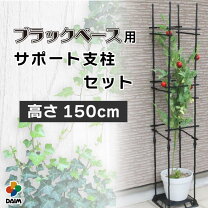 楽天市場】園芸 支柱 セットの通販
