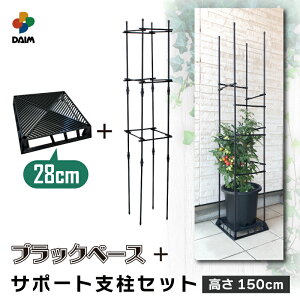 yGg[őSiP5{IzyN[|ōő2,000~OFFzdaim ubNx[X28cm+ubN x[XpT|[gxZbg 150cm J[N u  | h~ ʋC r Qh~ i