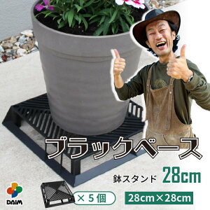 yJ[N×daim R{zdaim ubNx[X 28cm 5t[X^h ubN X^h A  J[ Aؔ u  | v^[ X^h h~ r ʋC 