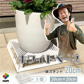 【カーメン君×daim コラボ】ホワイトベース 20cm 5個 フラワースタンド ブラックベース 鉢スタンド 鉢植え台 鉢台 カーメンくん 植木鉢 置き 台 園芸 プランター スタンド 根腐れ防止 排水 通気性