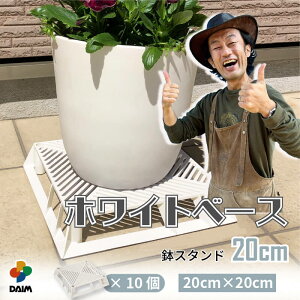 y24hIN[|ōő50%OFFzyJ[N×daim R{zzCgx[X 20cm 10 t[X^h uubNx[X X^h A  J[ Aؔ u  | v