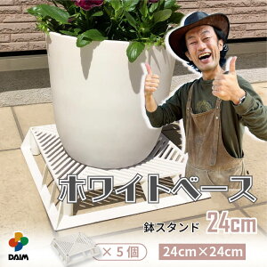 yJ[N×daim R{zzCgx[X 24cm 5 t[X^h ubNx[X X^h A  J[ Aؔ u  | v^[ X^h h~ r 