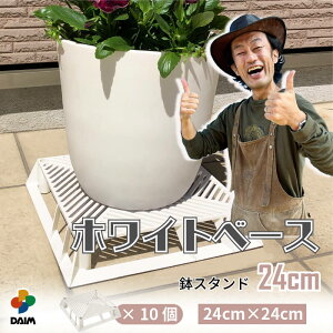 y24hIN[|ōő50%OFFzyJ[N×daim R{zzCgx[X 24cm 10 t[X^h ubNx[X X^h A  J[ Aؔ u  | v