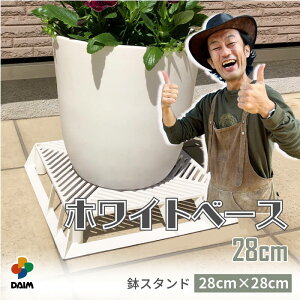 yGg[őSiP5{IzyN[|ōő2,500~OFFzyJ[N×daim R{zdaim zCgx[X 28cm t[X^h ubNx[X X^h A  J[ A
