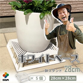 【カーメン君×daim コラボ】daim ホワイトベース 28cm 5個 フラワースタンド ブラックベース 鉢スタンド 鉢植え台 鉢台 カーメンくん 植木鉢 置き 台 園芸 プランター スタンド 根腐れ防止 排水