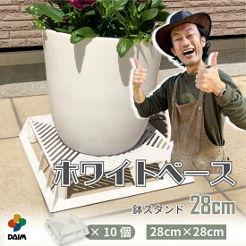 【カーメン君×daim コラボ】daim ホワイトベース 28cm 10個 フラワースタンド ブラックベース 鉢スタンド 鉢植え台 鉢台 カーメンくん 植木鉢 置き 台 園芸 プランター スタンド 根腐れ防止 排水 通気性 良い 害虫防止 ナメクジ