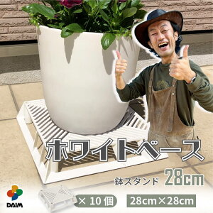 yN[|ōő3,000~OFFzy11 P2{zyJ[N×daim R{zdaim zCgx[X 28cm 10 t[X^h ubNx[X X^h A  J[ Aؔ u  