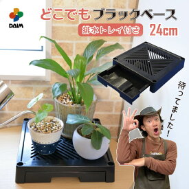 【カーメン君×daim コラボ】daim どこでもブラックベース 24cm 排水トレイ付き 水受け付き フラワースタンド 鉢スタンド 鉢 植え台 鉢台 カーメンくん 植木鉢 台 園芸 プランター 根腐れ防止 排水 通気性